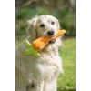 Petface Foodie Faces Fluffy Carrot Dog Toy