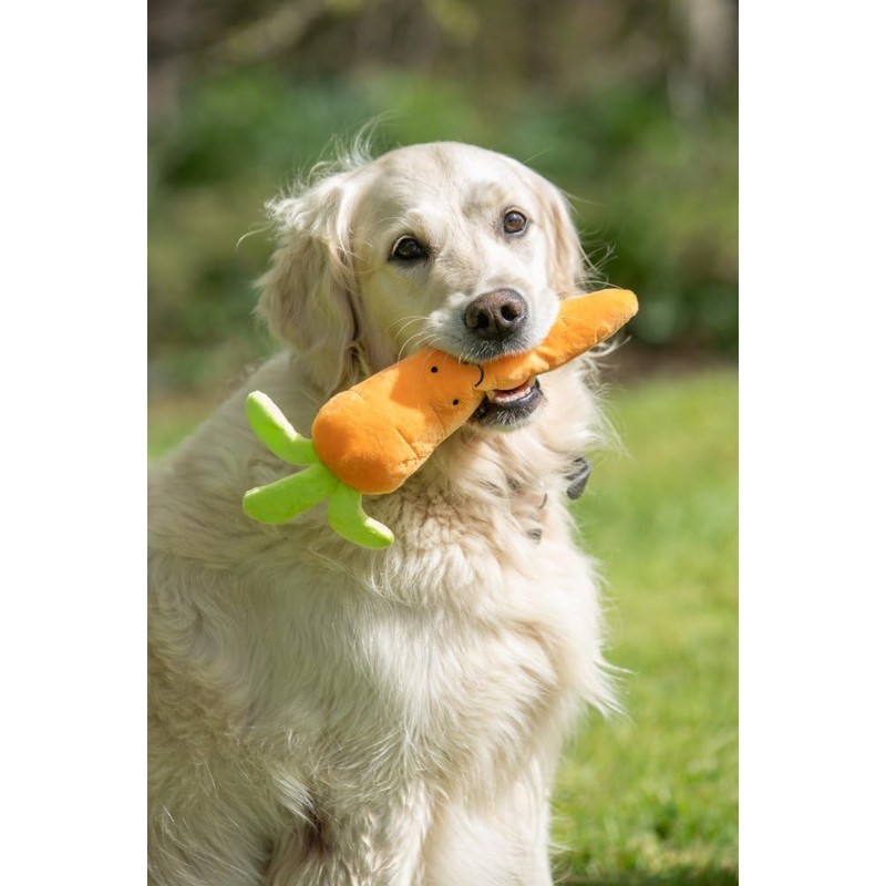 Petface Foodie Faces Fluffy Carrot Dog Toy