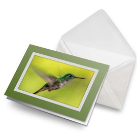 Greeting Card Light Grey & Army Green (Photo Insert) - Pretty Hummingbird Wild Nature - Blank Birthday Celebration Anniversary #46200