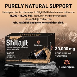 Lumarejebo Shilajit Tabletten Original 30.000 mg, 100% Reine Hochdosiert Hohe Potenz Himalayan Shilajit, Reich an 60% Fulvos?ure und Mineralien, 10:1 Extrakt, Praktischer als die Harzform (240 Tabletten)