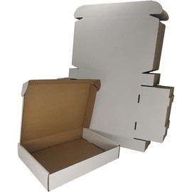 Rnisda 50 Pack 11.125x8.625x2'' Shipping Boxes, White Corrugated Cardboard Mailers for Mailing Packaging Small Business(W1182-50)
