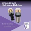 Wagner Lighting BP7440RLED LED Miniature Bulb