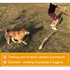 Dewonch Flirt Pole Dog Toys for Training & Exercise,Durable Teaser