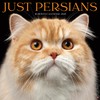 Willow Creek Press Persians Monthly 2025 Wall Calendar (12" x