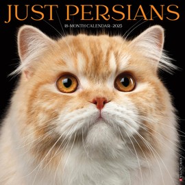 Willow Creek Press Persians Monthly 2025 Wall Calendar (12" x 12")