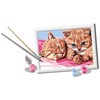 Ravensburger CreArt: Gattini amici – Dipingere con i Numeri per