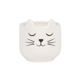 Sass & Belle Mini Cat's Whiskers White Planter