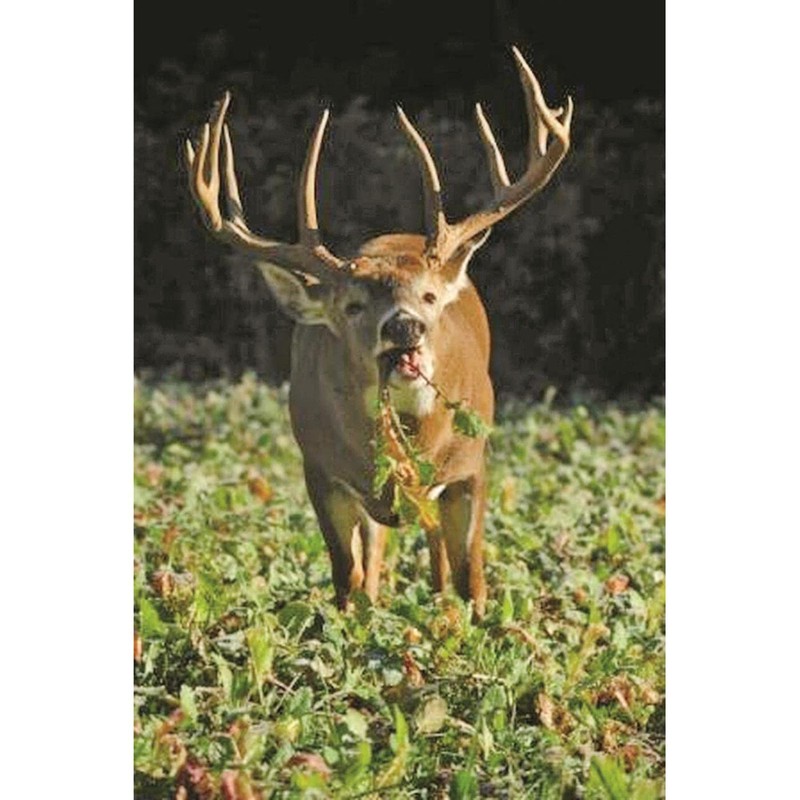 Whitetail Institute Tall Tines Tubers, 12 LB