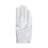 PUMA Golf Gloves Golf Super Leather Touch Gloves (Right Hand)