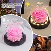 Preserved Pink Real Rose with LED Light eternal flowers rose