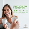 Harmony Keto Matcha - Sugar Free Latte Powder Stick Packets