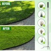 BARAYSTUS Stand up Weed Puller with 3 Claw Head, 45.6"