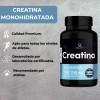 Creatina Monohidratada De Alta Pureza 100 Cáps Raíces Pro Sin