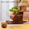 CENTRALEV Magnetic Levitating Plant Pot with LED Light, 360° Rotating