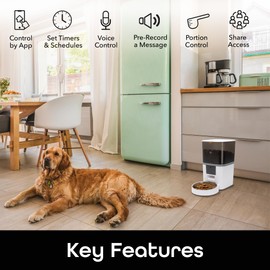 Geeni 6L Smart Pet Feeder - Automatic Cat and Dog Food Dispenser, WiFi Control, Voice Recorder, Battery Backup, Large Capacity, Portion Control - White