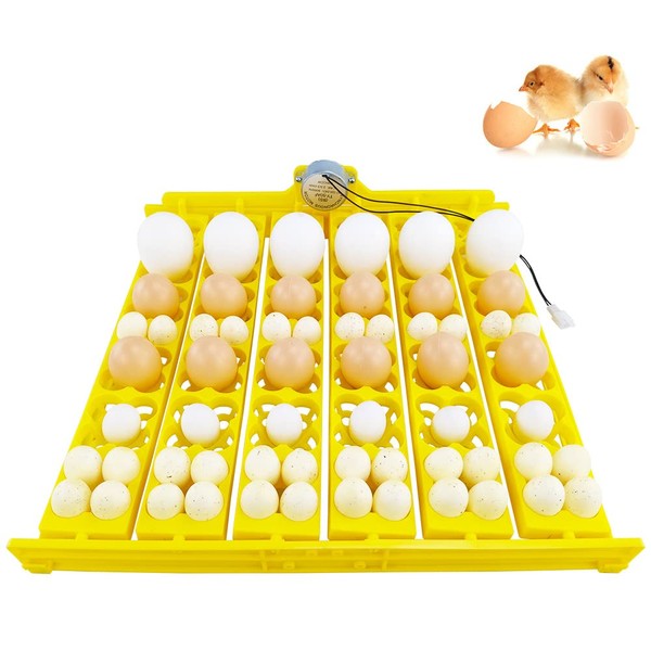 Automatic Multifunction Incubator Egg Tray With 110V Motor Turning Hatcher