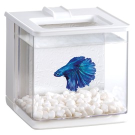 Gex Aquarium Easy Aqua White Easy Water Change Compact Aquarium Plant Rearing W 6.3 x D 6.7 x H 6.3 inches (16 x 17 x 16 cm), Approx. 0.7 gal (2.1 L)