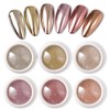 6 Colors Rose Gold & Gold Series Mirrored Powder Metallic