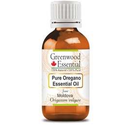 Greenwood Essential Pure Oregano Essential Oil (Origanum vulgare) 100% Natural Therapeutic Grade Steam Distilled 15ml (0.50oz)