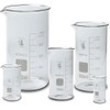 Glass Tall Form Beaker Set, 5 Sizes - 50, 100,