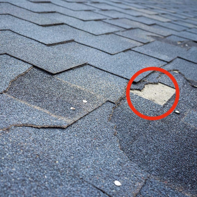 Pronova Bitumen Seal 300 ml Black