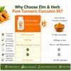 Elm & Herb Pure Turmeric Curcumin 95, Elm and Herb
