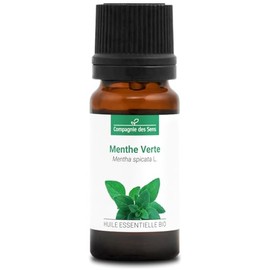 Green Mint (Mentha spicata) Organic - 10 ml - Essential Oil - 100% Pure, Natural, Chemotyped & Complete