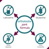 orthobiotix orthobiotix joint formula - mit Glucosamin, Chondroitin, MSM, Hyalurons?ure