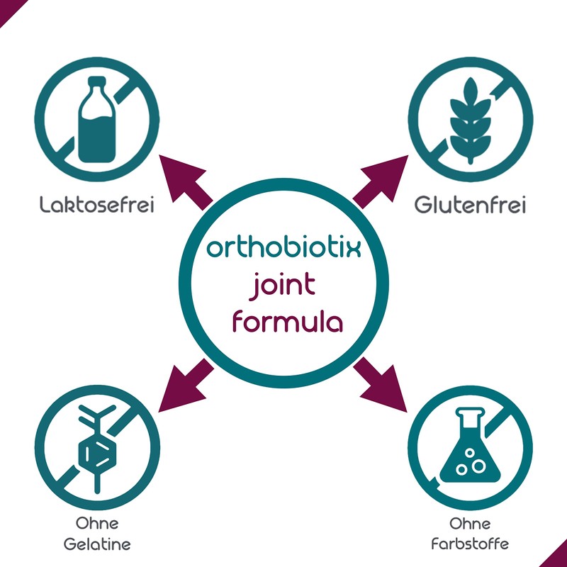 orthobiotix orthobiotix joint formula - mit Glucosamin, Chondroitin, MSM, Hyalurons?ure