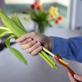 Flower Power - Flower Cutter - Flower Care - Floristry - Garden Accessories - Purple