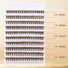 200pcs 40D Brown Cluster Eyelashes Volume Eyelash Extensions, Natural and