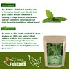 FullChea - Sage Tea Bags - 30 Count X 1.5g