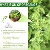 4000mg Pure Wild Oregano Oil Capsules 84% High Strength Carvacrol