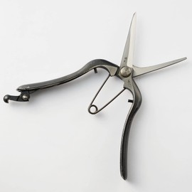 Geely Bud Pruning Shears, Forged, Fine Metal Shears, Made in Japan, Made in Japan in Sanjo, Niigata Prefecture, High Quality, Professional Specifications, For Fine Work, Vegetable Harvesting, Fruit