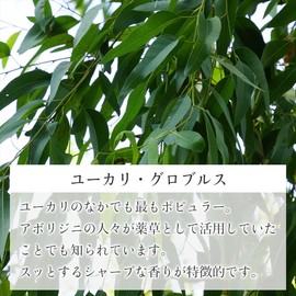 Natural 100% Eucalyptus Globulus Oil 30ml Aroma Oil Eucalyptus