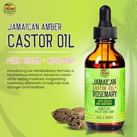 JAMAICAN Ambre Aceite de ricino negro orgánico – 2 fl oz – Para la fuerza del cabello, cuero cabelludo, aceite de masaje corporal y cejas – Formulado 
