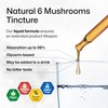 BIO KRAUTER 6 Mushrooms Supplement 6-in-1 - Lions Mane, Shiitake,Turkey