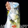 Lucky Craft Wonder 80 ESG candy glow Peach