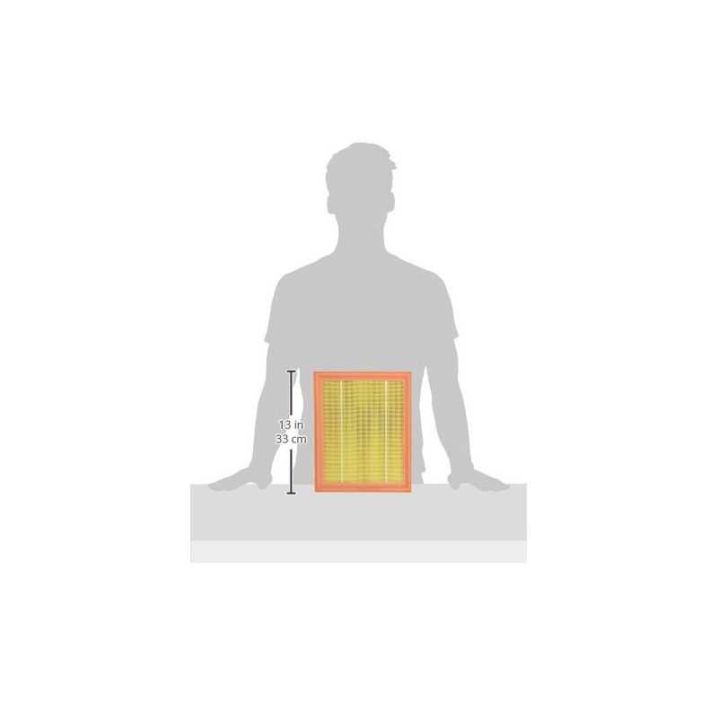 Valeo 585123 Air Filter