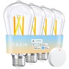 OREiN Matter Smart Bulb, ST19(58) Smart Edison Bulbs with Remote
