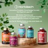 L Lysine Tablets High Dose 2000 mg | 365 Vegan