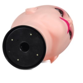 RUISIMEI Female Professional Cosmetology Bald Mannequin Head for Making up,Making Wigs, Wigs,Glasses with Free Table Clamp (12-B)