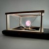 [Konoboshi Education] 3D Hologram Smartphone Screen Display 3D Hologram Projector