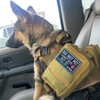 J.CARP 2 Pieces PTSD Service Dog Do Not Distract Patch,