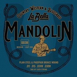 880M Mandolin, Phosphor Bronze - Medium