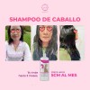 Shampoo De Caballo Detiene La Caída Acelera El Crecimiento