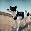 IR Reflective Service Dog Patch US Flag Tactical Dog Paw
