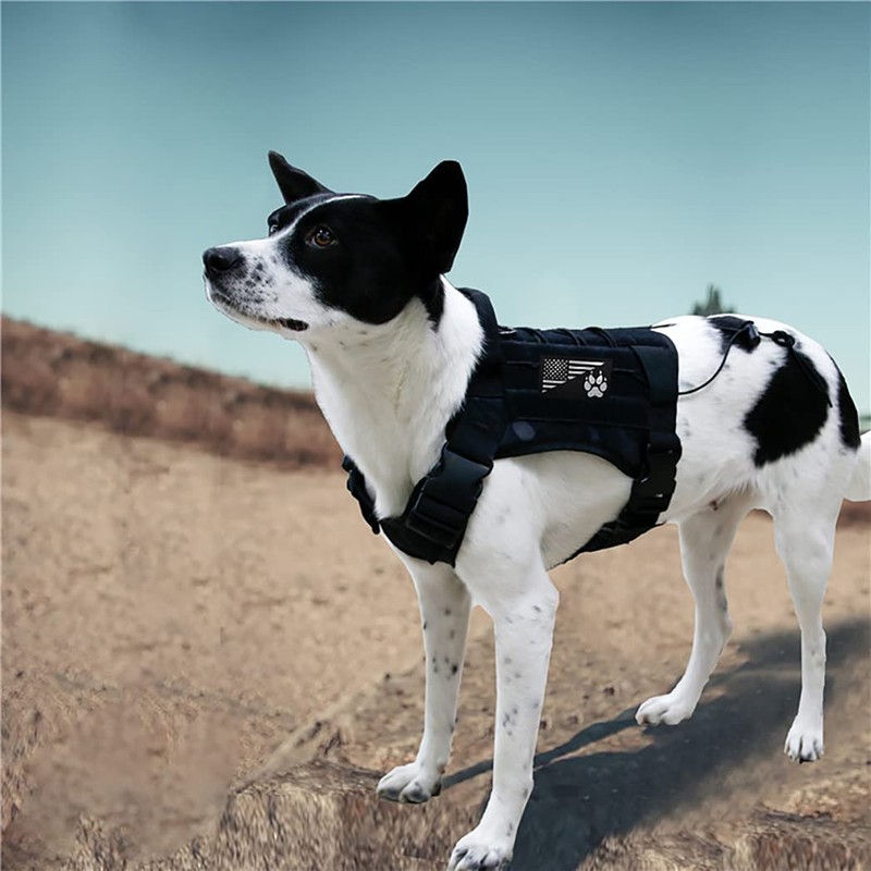 IR Reflective Service Dog Patch US Flag Tactical Dog Paw