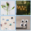 PETKNOWS 80 PCS Adhesive Cable Clips Christmas Clear Light Strip
