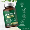 Horbaach Sea Kelp Tablets | 4000mg | 180 Vegan Tablets